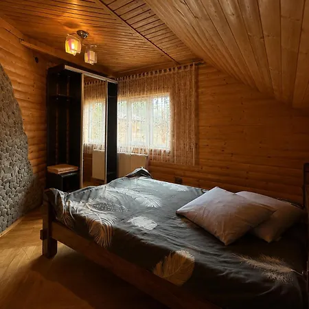 Mountain House Nyaraló Mikulicsin